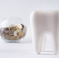 Model of a tooth nearby a glass bowl of coins.